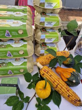 20231001_094659_resized