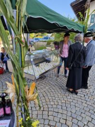 20231001_094804_resized