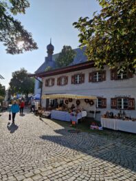 20231001_094904_resized