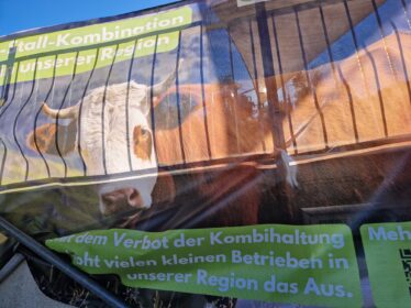 20231028_131225_resized