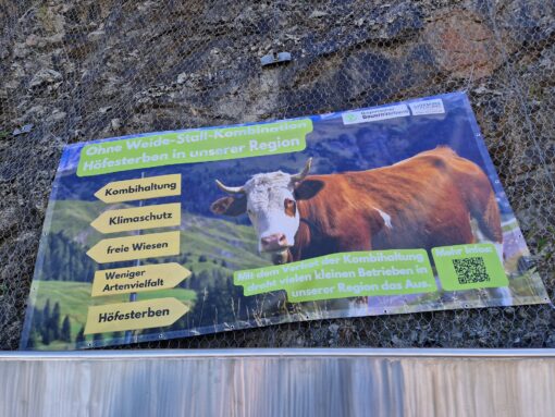 20231028_134544_resized