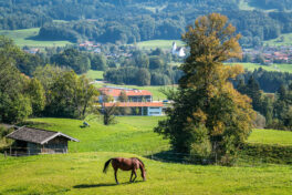 Herbstspaziergang-1060724