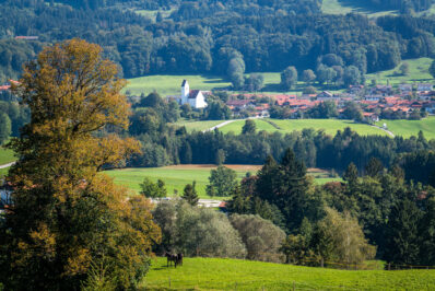 Herbstspaziergang-1060791