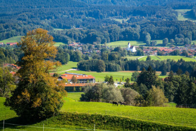 Herbstspaziergang-1060823