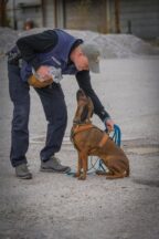 231105_ppobs_Übung_rhs_fvk_west_bild2