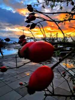 597f48b5-a240-4d51-89c0-9d9643102485