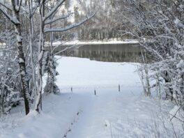 Start in die Langlaufsaison