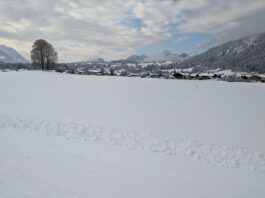 Start in die Langlaufsaison