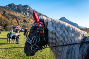 Traditioneller Leonhardiritt in Nußdorf