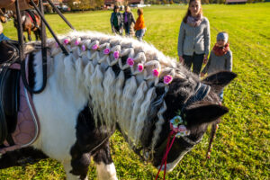 Traditioneller Leonhardiritt in Nußdorf