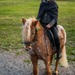 Traditioneller Leonhardiritt in Nußdorf