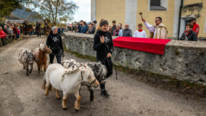 Traditioneller Leonhardiritt in Nußdorf