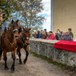 Traditioneller Leonhardiritt in Nußdorf