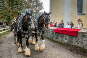 Traditioneller Leonhardiritt in Nußdorf