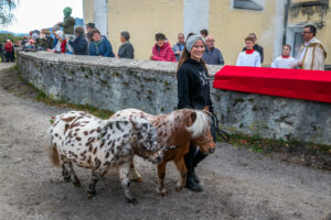 Traditioneller Leonhardiritt in Nußdorf
