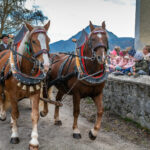 Traditioneller Leonhardiritt in Nußdorf