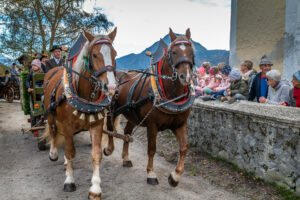 Traditioneller Leonhardiritt in Nußdorf