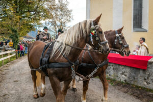 Traditioneller Leonhardiritt in Nußdorf