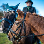 Traditioneller Leonhardiritt in Nußdorf