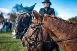 Traditioneller Leonhardiritt in Nußdorf