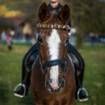Traditioneller Leonhardiritt in Nußdorf