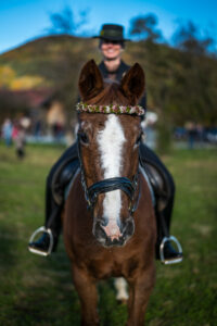 Traditioneller Leonhardiritt in Nußdorf