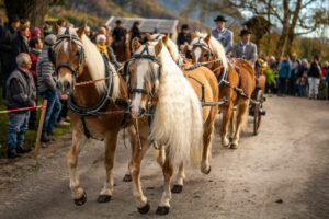 Traditioneller Leonhardiritt in Nußdorf