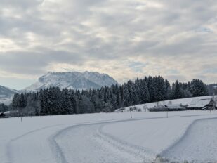 Start in die Langlaufsaison