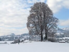 Start in die Langlaufsaison