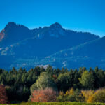 Impressionen eines Herbstspazierang in der Samerberger Filze