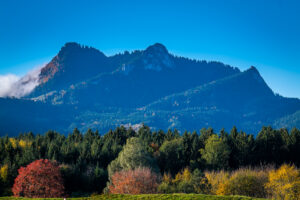 Impressionen eines Herbstspazierang in der Samerberger Filze
