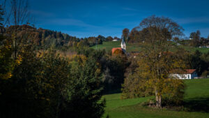 Impressionen eines Herbstspazierang in der Samerberger Filze