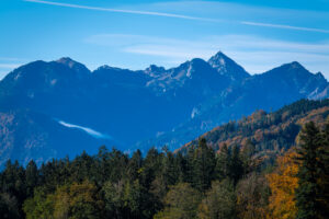Impressionen eines Herbstspazierang in der Samerberger Filze