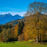 Impressionen eines Herbstspazierang in der Samerberger Filze