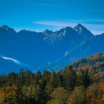 Impressionen eines Herbstspazierang in der Samerberger Filze