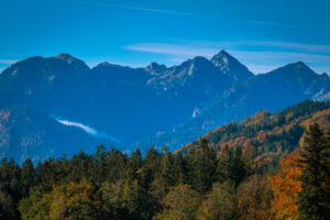 Impressionen eines Herbstspazierang in der Samerberger Filze