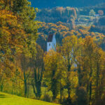 Impressionen eines Herbstspazierang in der Samerberger Filze