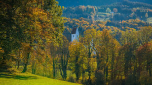 Impressionen eines Herbstspazierang in der Samerberger Filze