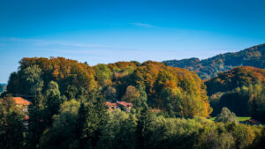 Impressionen eines Herbstspazierang in der Samerberger Filze
