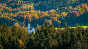 Impressionen eines Herbstspazierang in der Samerberger Filze