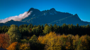 Impressionen eines Herbstspazierang in der Samerberger Filze