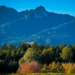 Impressionen eines Herbstspazierang in der Samerberger Filze