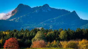 Impressionen eines Herbstspazierang in der Samerberger Filze