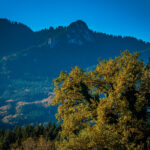 Impressionen eines Herbstspazierang in der Samerberger Filze