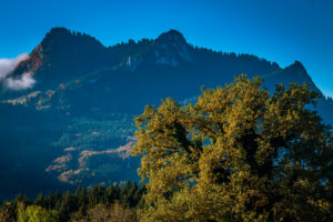Impressionen eines Herbstspazierang in der Samerberger Filze