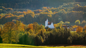 Impressionen eines Herbstspazierang in der Samerberger Filze