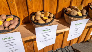Herbstlicher Marktzauber in Neubeuern: Ein Bummel durch bayerische Vielfalt von Handwerk, Mode und Kulinarik