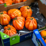 Herbstlicher Marktzauber in Neubeuern: Ein Bummel durch bayerische Vielfalt von Handwerk, Mode und Kulinarik