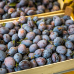 Herbstlicher Marktzauber in Neubeuern: Ein Bummel durch bayerische Vielfalt von Handwerk, Mode und Kulinarik