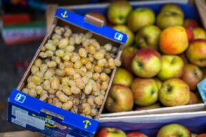 Herbstlicher Marktzauber in Neubeuern: Ein Bummel durch bayerische Vielfalt von Handwerk, Mode und Kulinarik